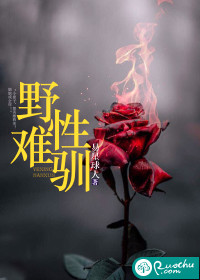 快穿直播：万人迷她画风清奇